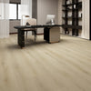 Attica - Odyssey Collection - Paradigm - Vinyl | Flooring 4 Less Online