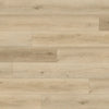 Acorn - Paradigm - Performer 20mil Collection - Vinyl | Flooring 4 Less Online Estimate