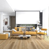 Agave - Paradigm - Performer 20mil Collection - Vinyl | Flooring 4 Less Online Estimate