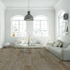 Asheville - Happy Feet - Stone Elegance II Collection - Vinyl | Flooring 4 Less Online