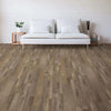 Barnwoood - Happy Feet - Mustang Collection