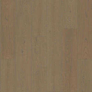 Beig - DuChateau - Societe Collection