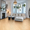 Canadian Maple - Karndean - Art Select Gluedown Collection - Vinyl | Flooring 4 Less Online
