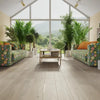 Clement - Muller Graff - Christian Creek Collection - Engineered Hardwood | Flooring 4 Less Online