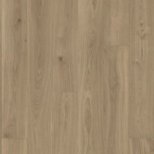 Dahr - DuChateau - Societe Collection