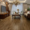 Dove - Paradigm - Paradigm Collection w/Pad Micro Bevel