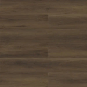 Eagle - Paradigm - Performer Plus Collection - Vinyl | Flooring 4 Less Online Estimate Follow Up