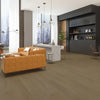 Falcon - Paradigm - Performer Plus Collection - Vinyl | Flooring 4 Less Online Estimate Follow Up