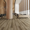 Fortress - Paradigm - Conquest Collection - Luxury Vinyl Plank | Flooring 4 Less Online