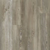 Fossil - Happy Feet - Perseverance Collection - Vinyl | Flooring 4 Less Online