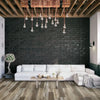 Franklin - Happy Feet - Freedom Collection - Vinyl | Flooring 4 Less Online