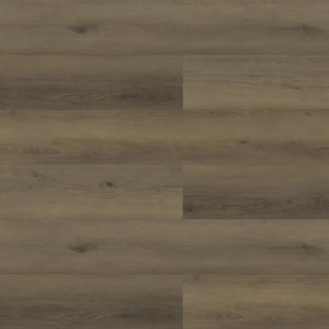 Goose - Paradigm - Performer Plus Collection - Vinyl | Flooring 4 Less Online Estimate Follow Up