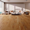 Isabel - SLCC - West Winds Premium Collection - Hardwood | Flooring 4 Less Online
