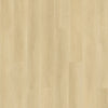 Delos - Odyssey Collection - Paradigm - Vinyl | Flooring 4 Less Online