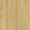Ios - Odyssey Collection - Paradigm - Vinyl | Flooring 4 Less Online