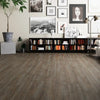 Pedra - Paradigm - Insignia Collection - Vinyl | Flooring 4 Less Online