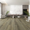Pelican - Paradigm - Performer Plus Collection - Vinyl | Flooring 4 Less Online Estimate Follow Up