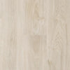 Platinum Blonde - Next Floor - Regatta Collection - Laminate | Flooring 4 Less Online