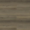 Raven - Paradigm - Performer Plus Collection - Vinyl | Flooring 4 Less Online Estimate Follow Up