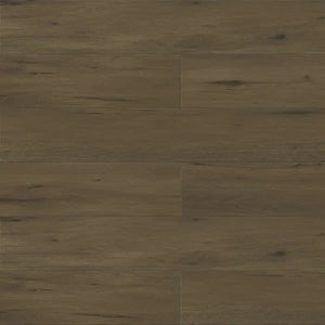 Robin - Paradigm - Performer Plus Collection - Vinyl | Flooring 4 Less Online Estimate Follow Up