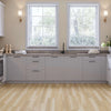 Shagbark Hickory - InStride Surfaces - SureStride Collection - Vinyl | Flooring 4 Less Online |
