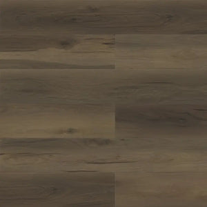 Sparrow - Paradigm - Performer Plus Collection - Vinyl | Flooring 4 Less Online Estimate Follow Up