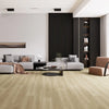 Sunset - Paradigm - Insignia Collection - Vinyl | Flooring 4 Less Online
