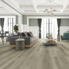 Swan - Paradigm - Performer Plus Collection - Vinyl | Flooring 4 Less Online Estimate Follow Up
