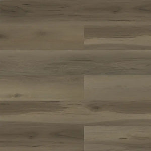 Toucan - Paradigm - Performer Plus Collection - Vinyl | Flooring 4 Less Online Estimate Follow Up