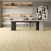 White River - Paradigm - Insignia Collection - Vinyl | Flooring 4 Less Online