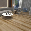 Wildflower - Paradigm - Performer 20mil Collection - Vinyl | Flooring 4 Less Online Estimate