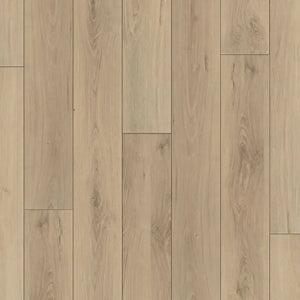 Windsor - Happy Feet- Regency Collection - Vinyl | Flooring 4 Less Online