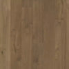 Alpine - DuChateau - Terra Collection | Hardwood Flooring