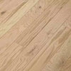 Biscuit - Shaw - Albright Oak Collection | Hardwood Flooring