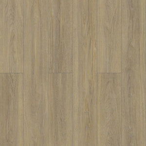Canberra - Inhaus - Visions Collection | Laminate Flooring
