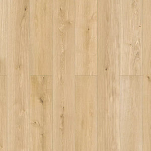 Gilmour - Inhaus - Elandura Collection | Laminate Flooring